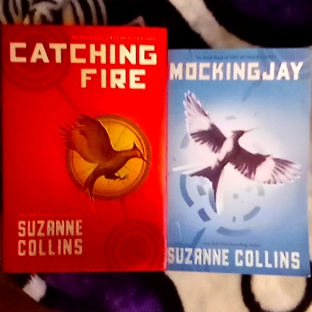 The hunger Games mocking jay & catching fire for sale